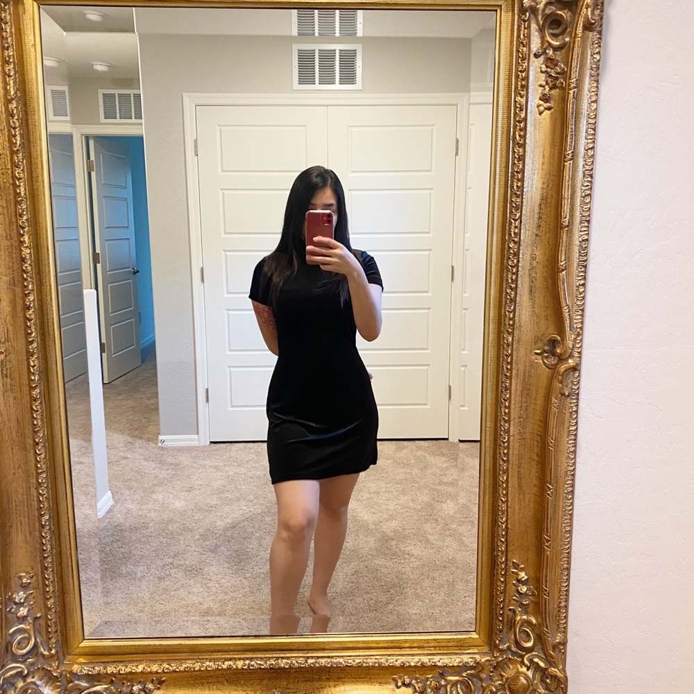 Velvet Turtle neck dress